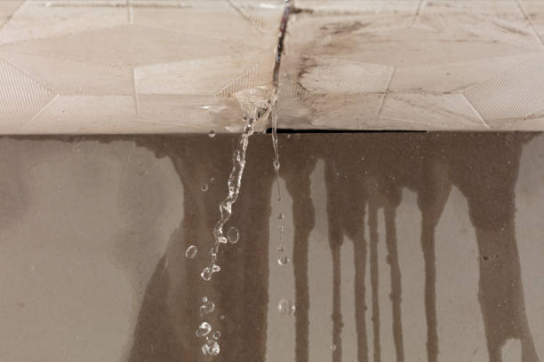 Professional Water Damage Repair technician working in Half Moon Bay, CA